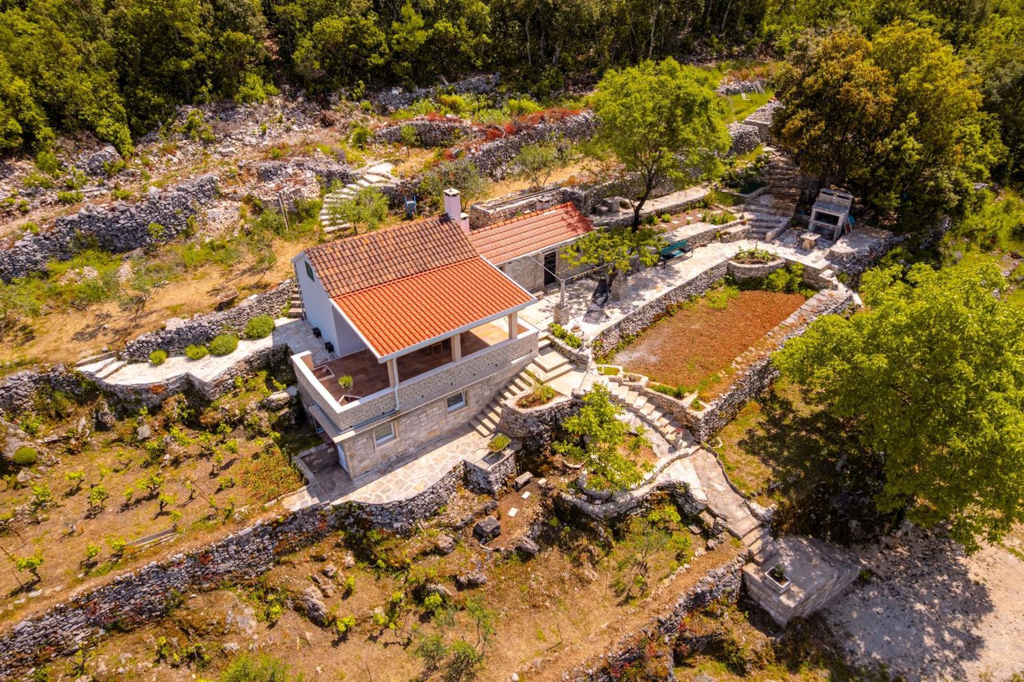 Meadow Hill Villa Zrnovo Luaran gambar